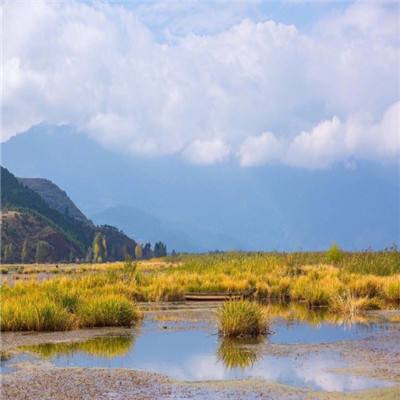 西藏拉萨南北山绿化工程持续推进